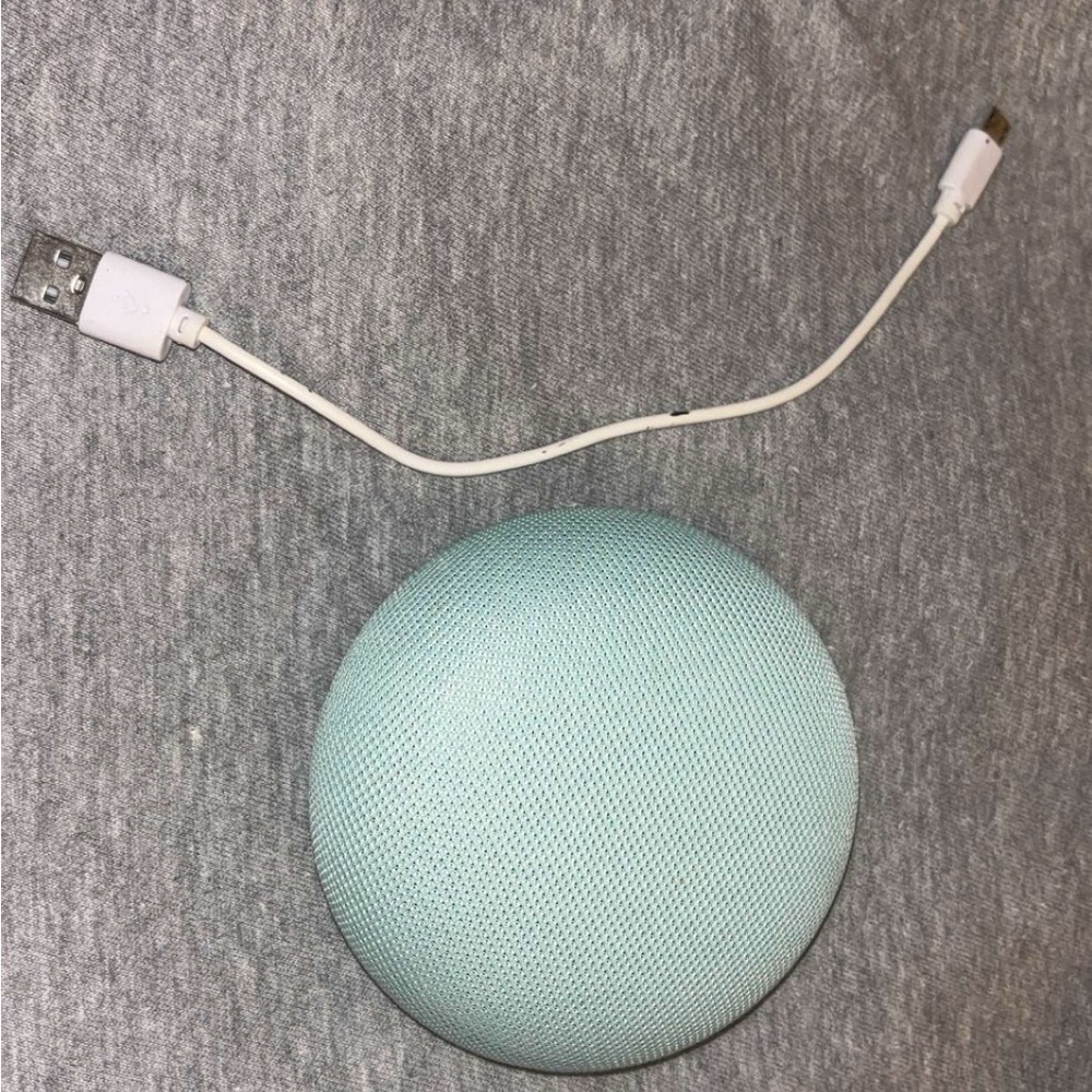 Google Nest Mini in Mint Green